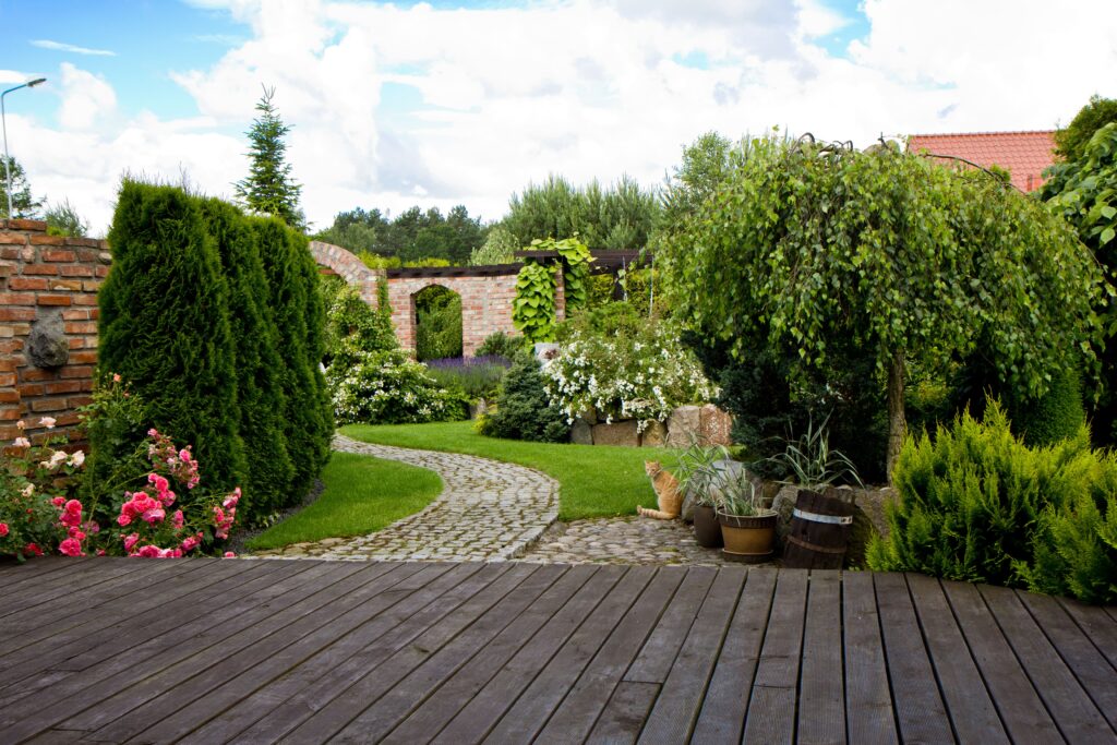 Mein Garten